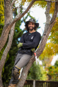 Professional gardener pruning trees in Christchurch trees