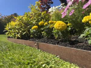 Modern residential landscaping in Christchurch featuring clean Corten steel edging bordering a manicured lawn and garden bed.