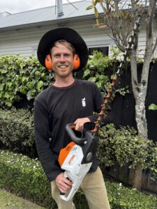 gardener trimming buxus hedges with an electric hedge trimmer in christchurch