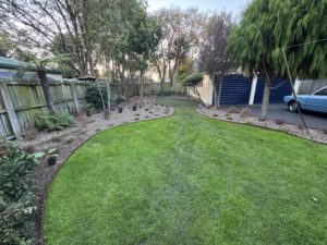 Christchurch property landscaping with native plants and steel edging