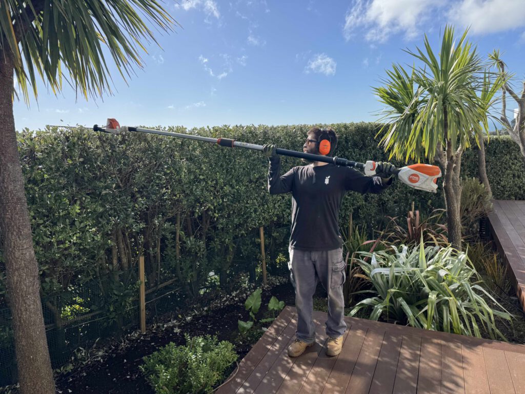 Gardener hedge trimming hedges in Christchurch with electric hedge trimmer