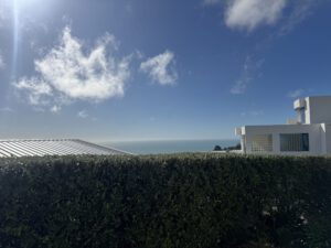 Hedge trimmed in Christchurch overlooking Sumner