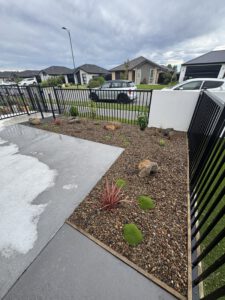 back garden of a Christchurch property landscape planted