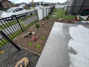Native garden landscaping in a Christchurch apartment