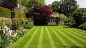 Lawn mowing in small cottage back garden in christchurch